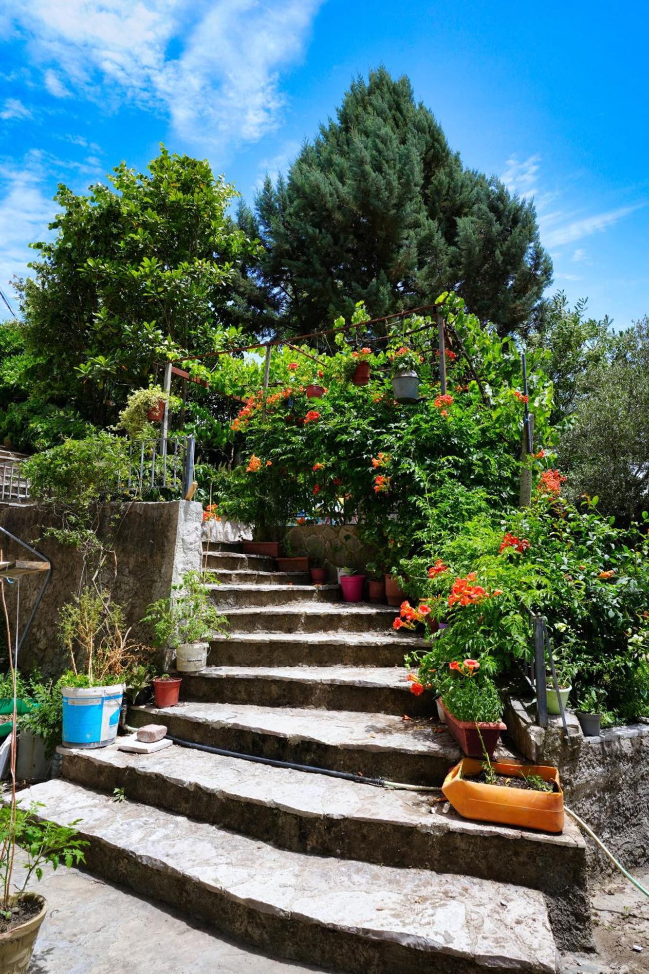 Vila Banushi Gjirokaster Exterior photo